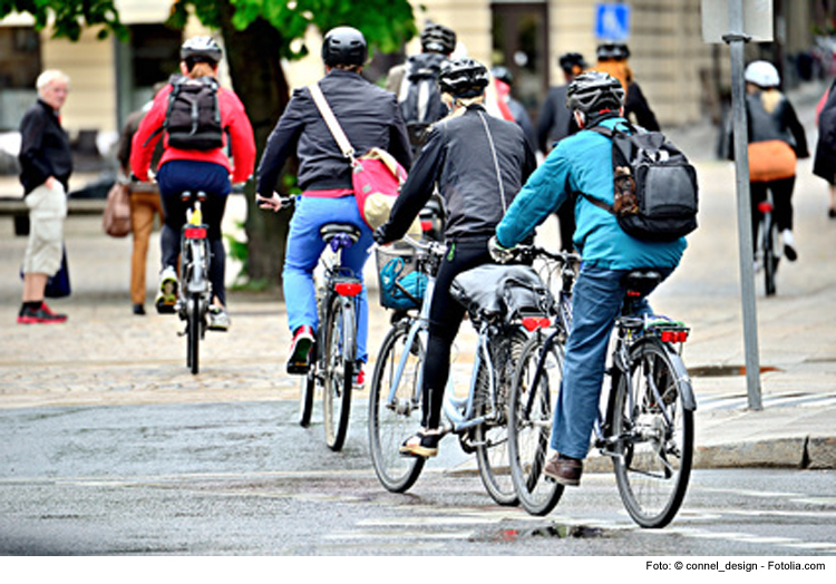 Freie Wähler sorgen sich um Fahrradfahrer unter Asylbewerbern