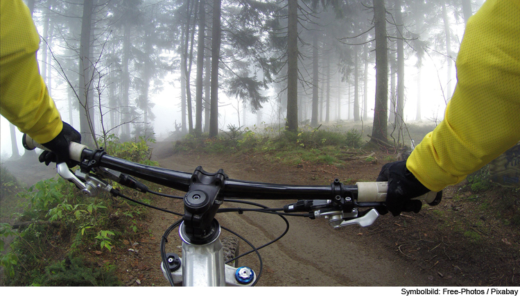 Mountainbiker beschädigen Wald