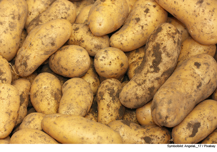 Kartoffeln verteilen sich auf B16